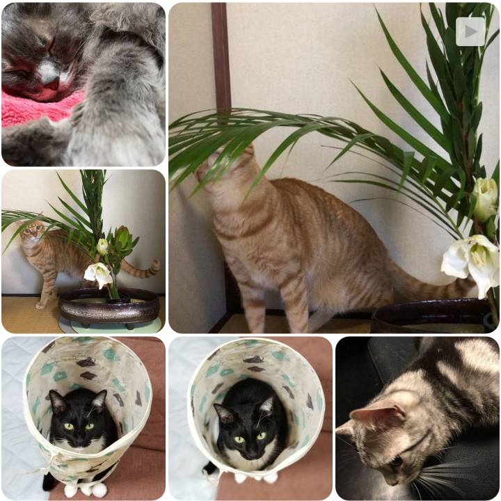 0211509a cffb 43ad 8612 7c7829e78431 1557352575593