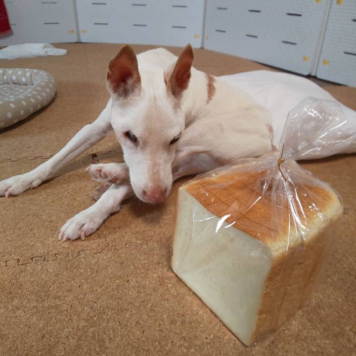 02115334 b761 4315 b179 a766680ae39b 1598143362252