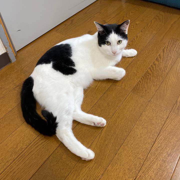 02116cef 9c47 43a3 aab5 e771e5499e31 1627430504810