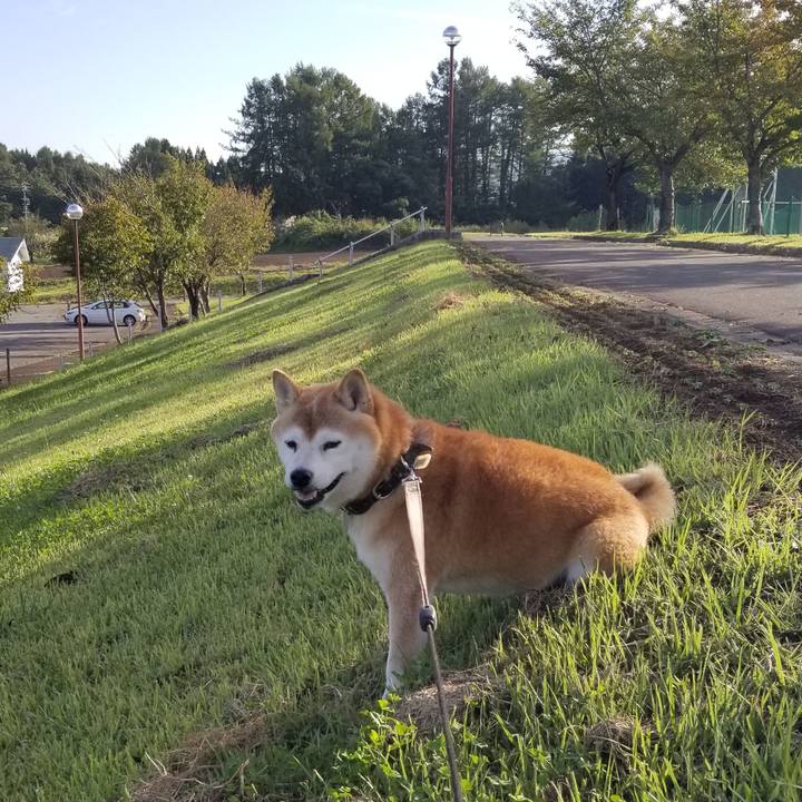 0211941b 434d 4a47 8916 41e5582bf6c0 1664088739008