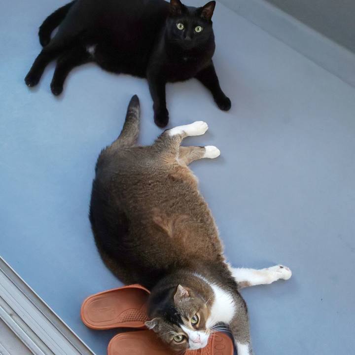 0211951b 48a7 412e ac9b 57ef42aee03e 1720042406559