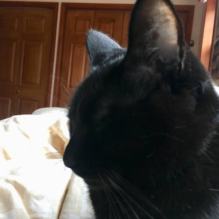 0211abae aa42 4c86 b714 061aa4acb1b6 1552180273730