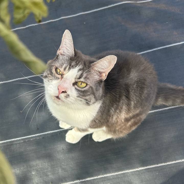 0211b4b3 d721 40c3 8019 d4ffdc159661 1760758968178