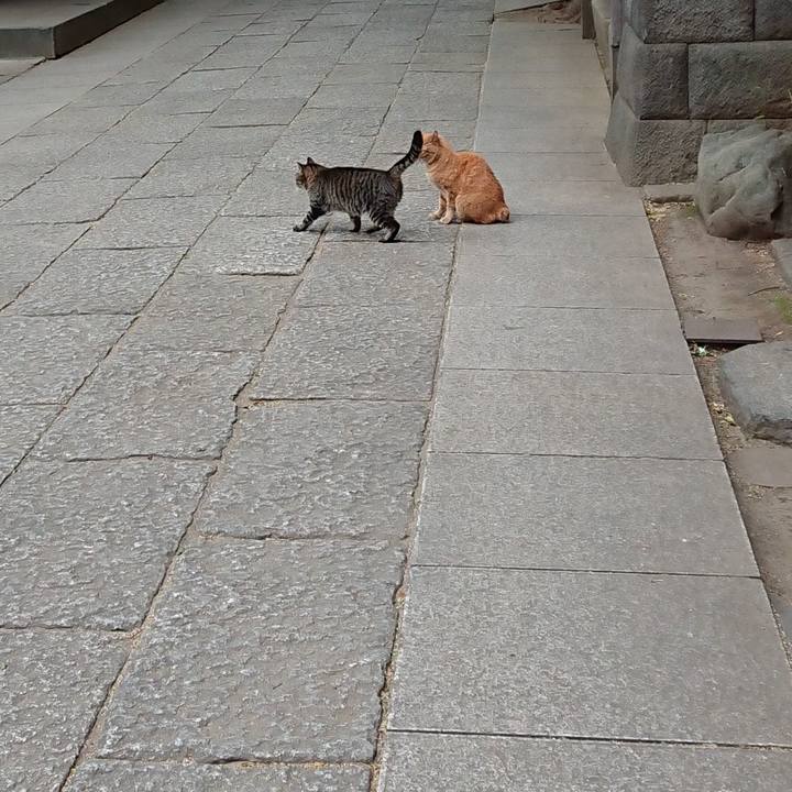 0211da5d f611 438c 8b7f 78d10c9d0bdf 1682331662838