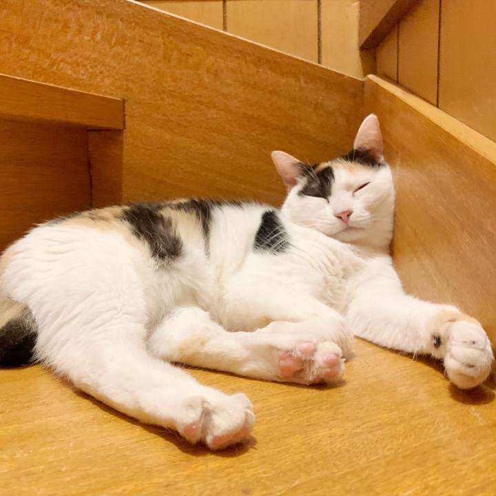 02121515 a42b 413f acf0 6bd4c889c0c4 1597802157311