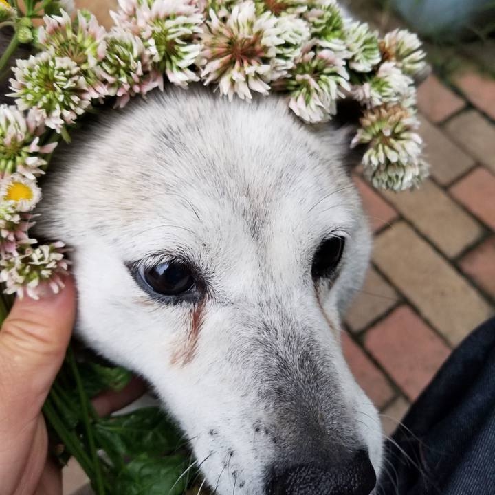 02122054 48a4 4a84 9add a9e8a50f51d2 1651185920847