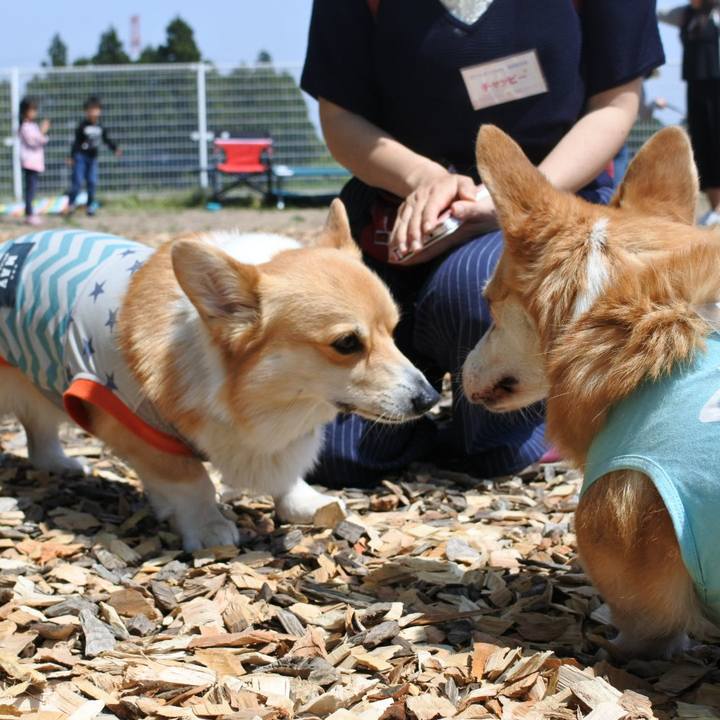 02122ea8 f73a 40ef b274 294c713d047e 1525162241010