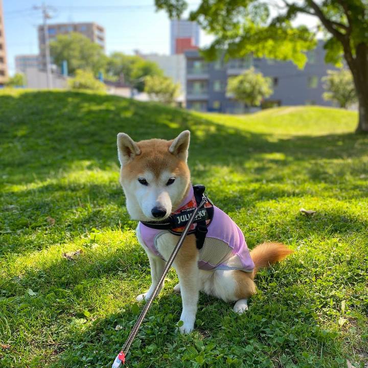 02123c1d 96f4 4038 bbb9 85adff9270d1 1626225232844