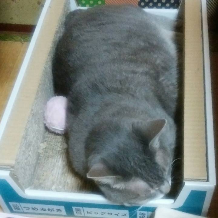 021247f0 08a3 48c2 848c 78433d497ebc 1534080864648