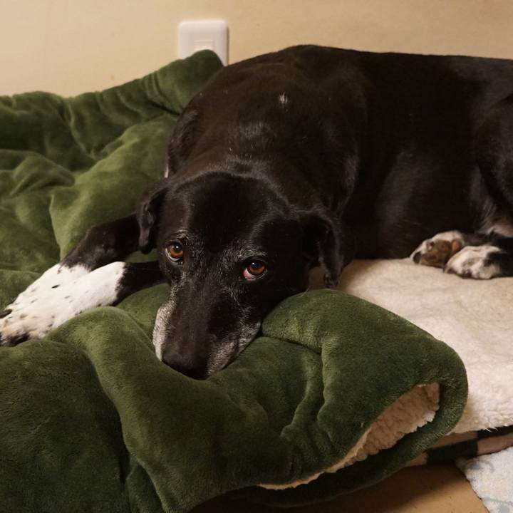 02126cba 179a 49a1 8972 6c397190bf70 1765420363829