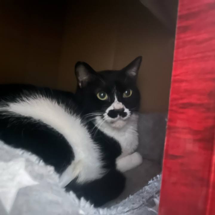 02127171 bb5c 4c89 95d6 b6ca62aad490 1681528910976