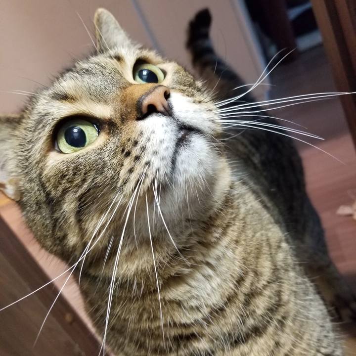 0212d3d0 68a5 4db7 8e91 dfa60e61ccc6 1599260341598