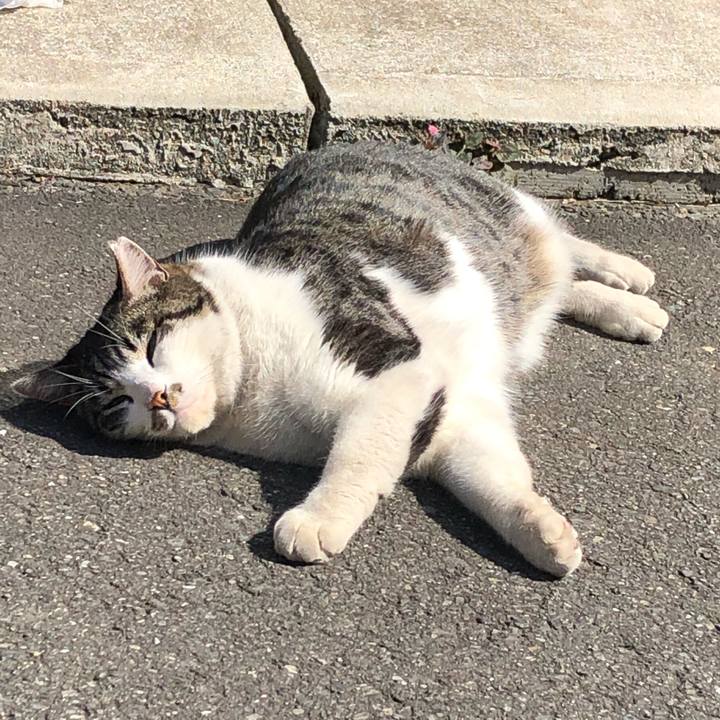 021304cf f21d 44c0 902f 9f66883c2b7a 1582278572190