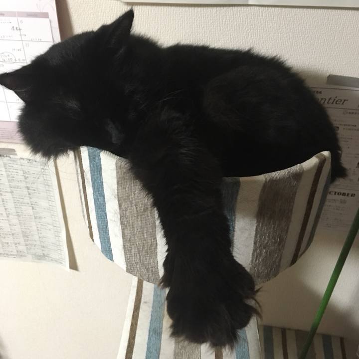 02131209 3678 45c2 b597 532d89534c0c 1539532899137