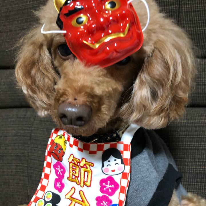 02135d7e eafe 40ca 9a4b cbac0a85cfdb 1612261558143