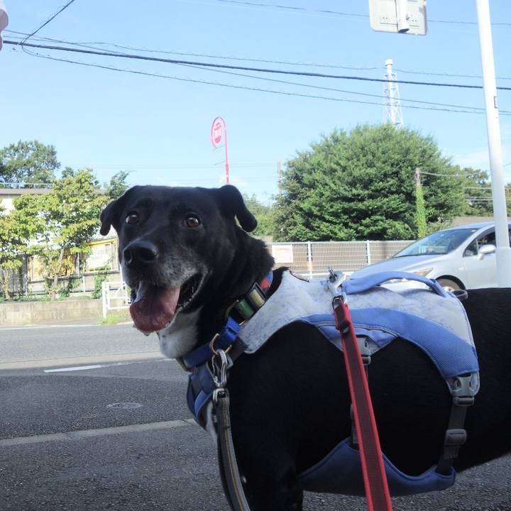 0213742b 5b50 4a1d acf3 47f1eada88d2 1693439871478