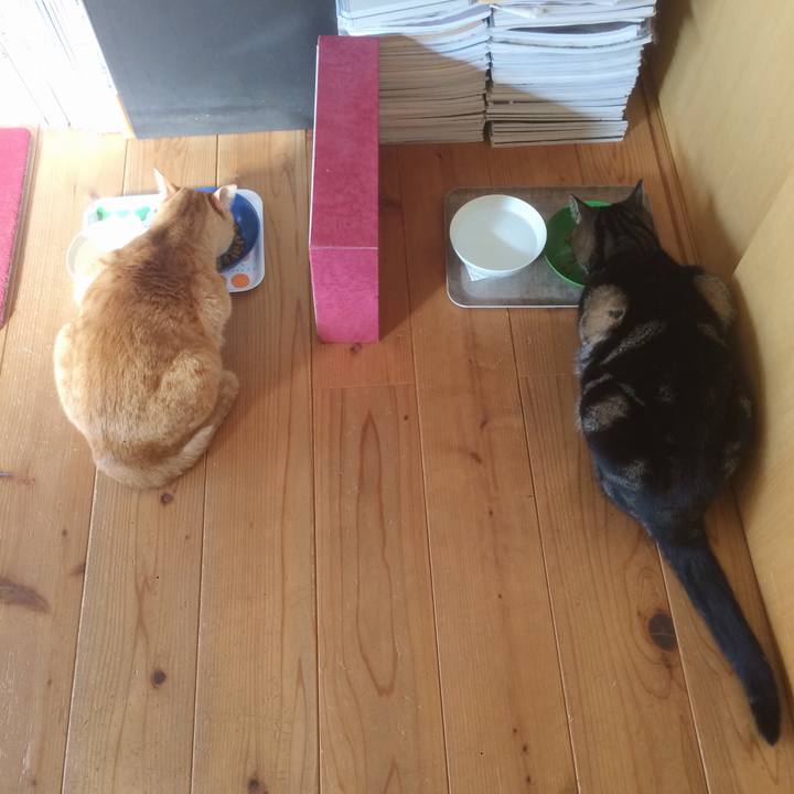 0213782b 0c0a 4f24 9674 d5c1a9565eca 1581380588589