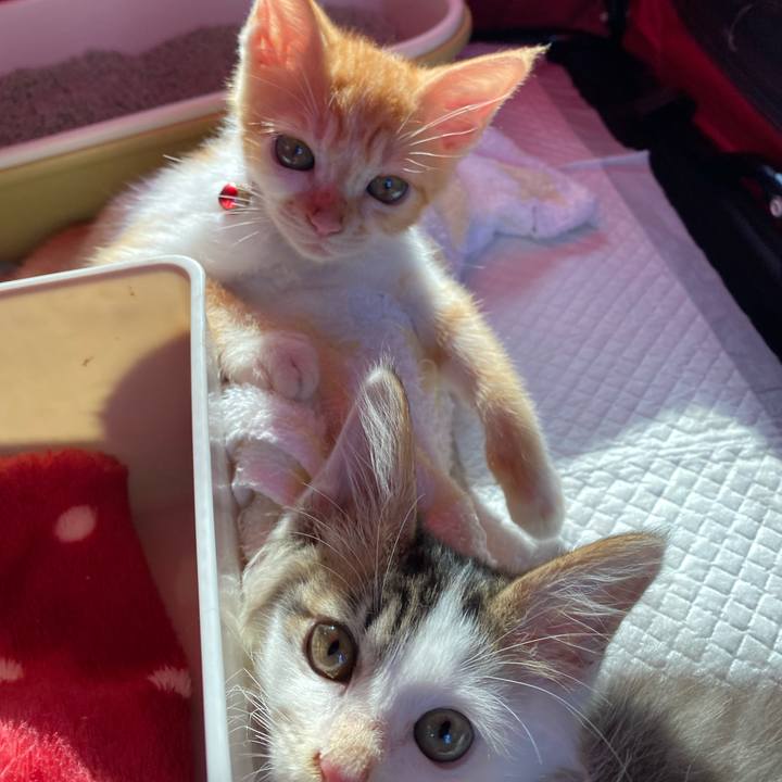 0213794d 89b3 4324 a3f3 8a8ee2fe7a4a 1630308734799