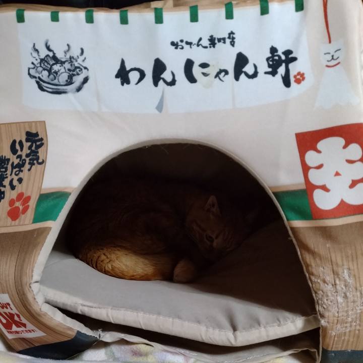 0213847a 7991 4ca8 bc55 ea3d4f73197c 1676117428409