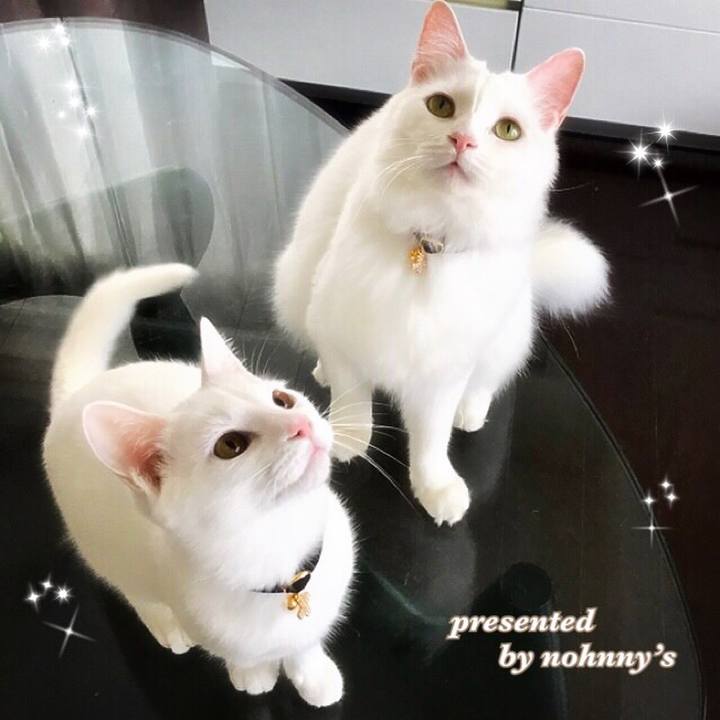 0213853b 33e1 4f9c 8900 ca5cc5411a4a 1574200179379