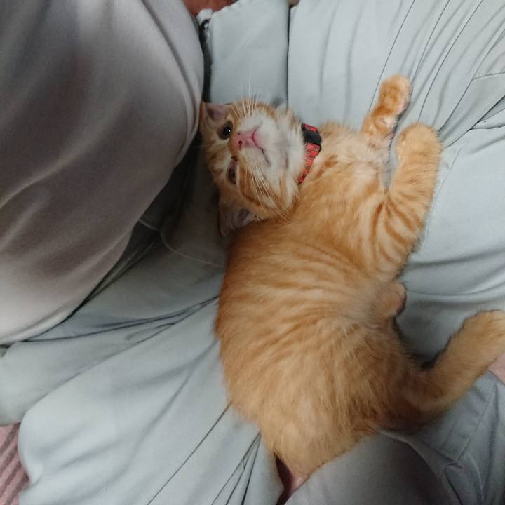 0213a08a a567 4155 8e03 3af9b26b954c 1629195020961