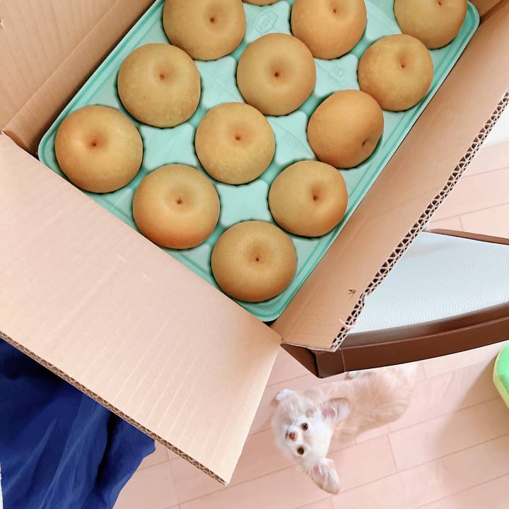 0213a6a1 2e90 467c 8720 871caa06233a 1660641401144