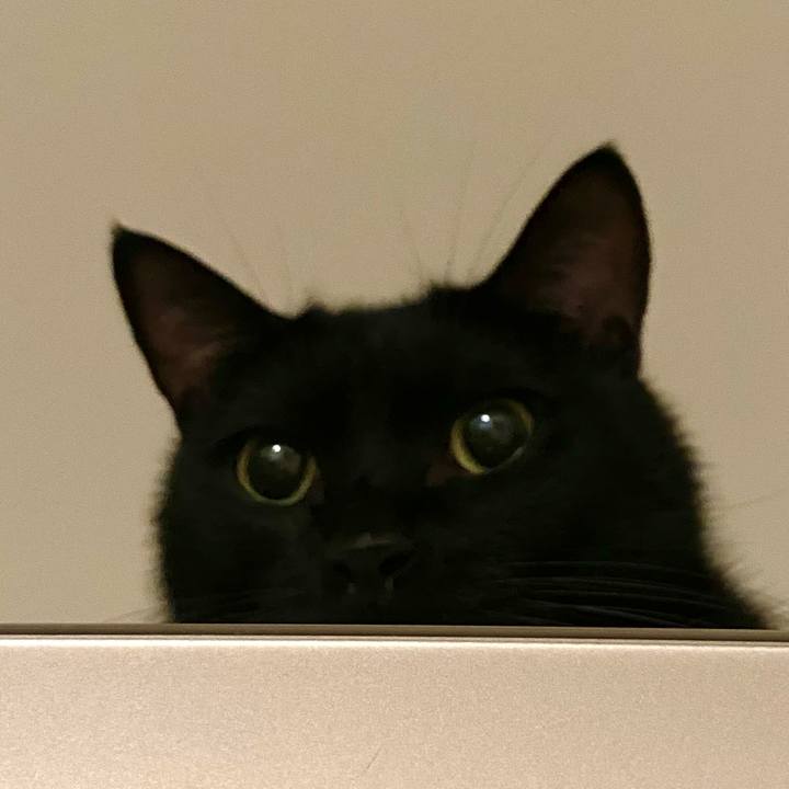 0213b561 7e7b 4995 b13c 958c28be5ff6 1661340680416