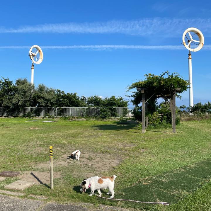 0213cb0f f377 454e beb8 12f51eca2b3a 1626735226735