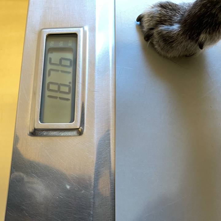 0213d513 e4af 41e3 a404 97ac4952fe0b 1777096367797