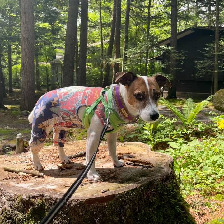 0213ea37 397d 4ecd 989a 5cbc5983ba8e 1747817225074