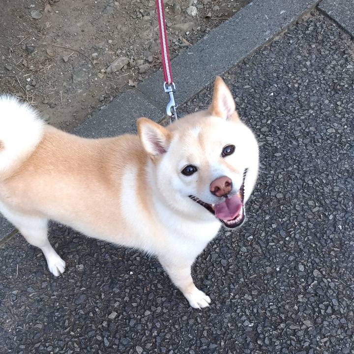 02141a3a 36a3 44fe 9cad 281665ab7528 1597012856040