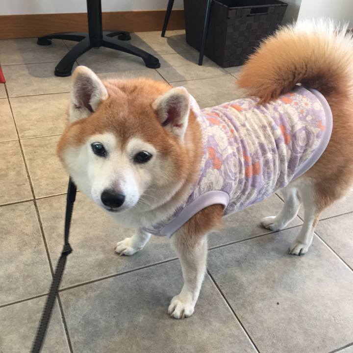 0214827a 052c 40af 90fa fa64b173a788 1541657444517