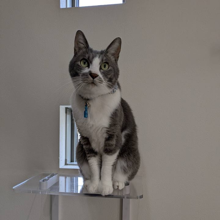 0214852a 4d4c 41c3 be1d 182a812c1ba5 1762501159952