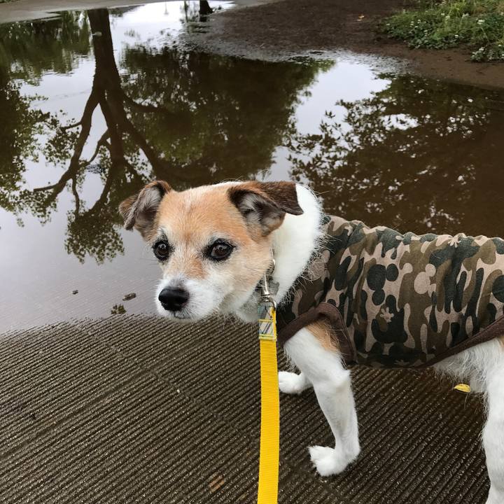 021487ad 5992 4e70 b1ed 3ed661828a4f 1624150212801