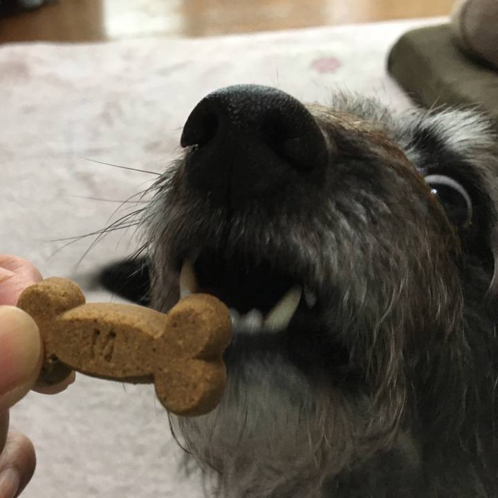 021499b0 fe6d 4217 8632 d958364462e2 1573858911675