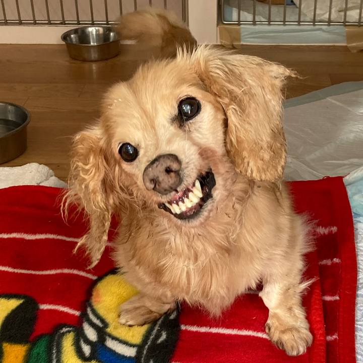 0214a3b2 c346 48e1 b62a 482d9df76d90 1634719951337