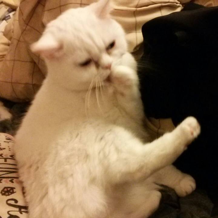 0214f7e2 cd2a 416c 8dca db4287b8b9cf 1525866828968