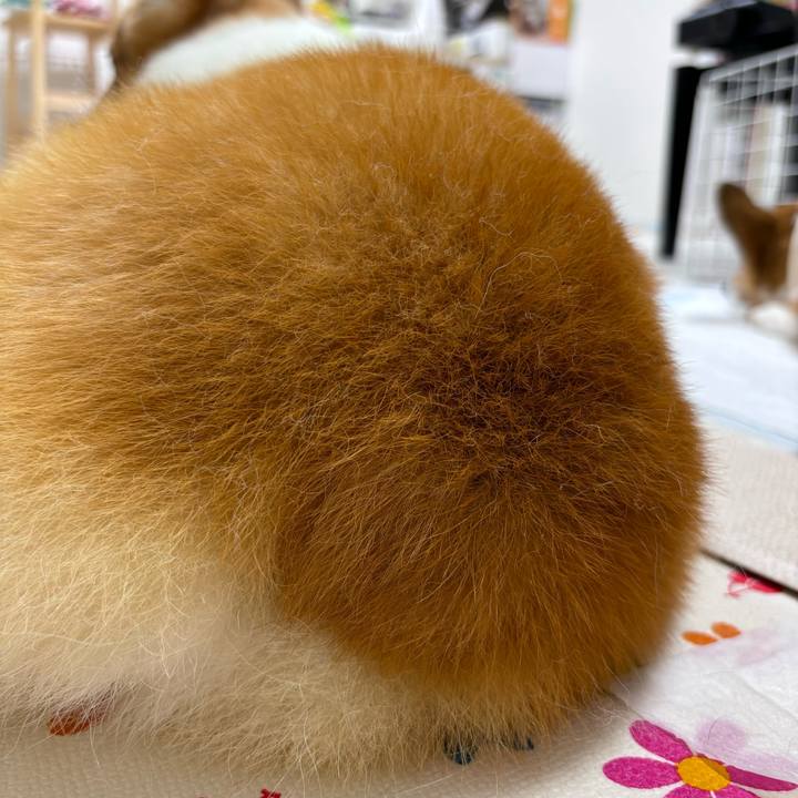 02150bd5 9f57 43c2 9a2a adeb2fc1f3d5 1754738943089