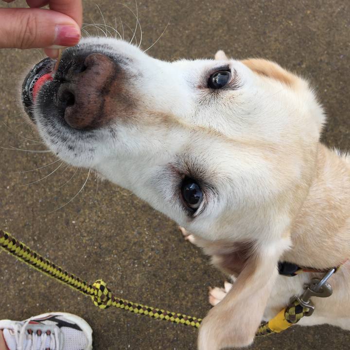 02152316 195b 463f bfac f1e45f594431 1537233053141