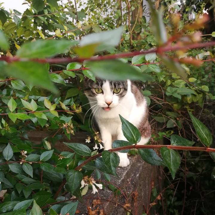 021581d7 19f3 4d36 9f52 6f37cec7f203 1624263837028