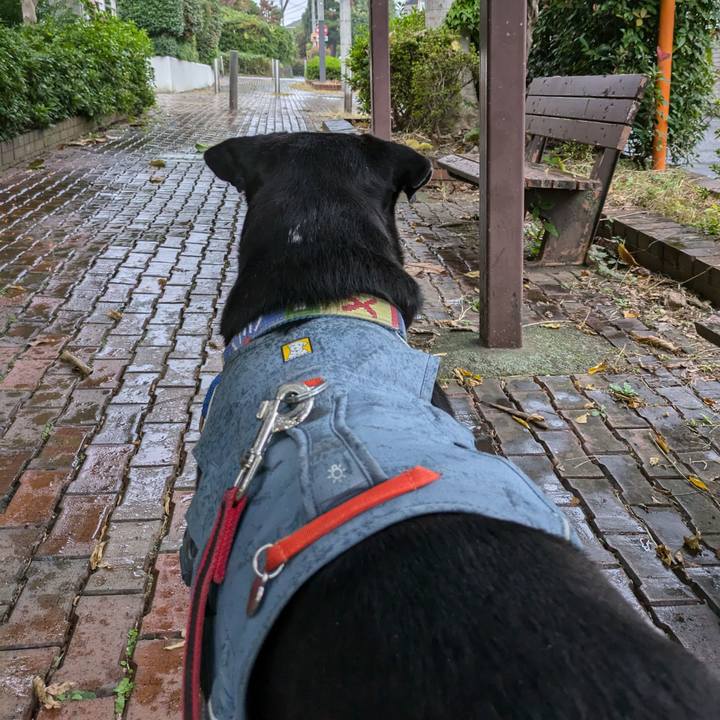 0215d0ff 8a88 4fac b802 a231325f4d77 1729212253637