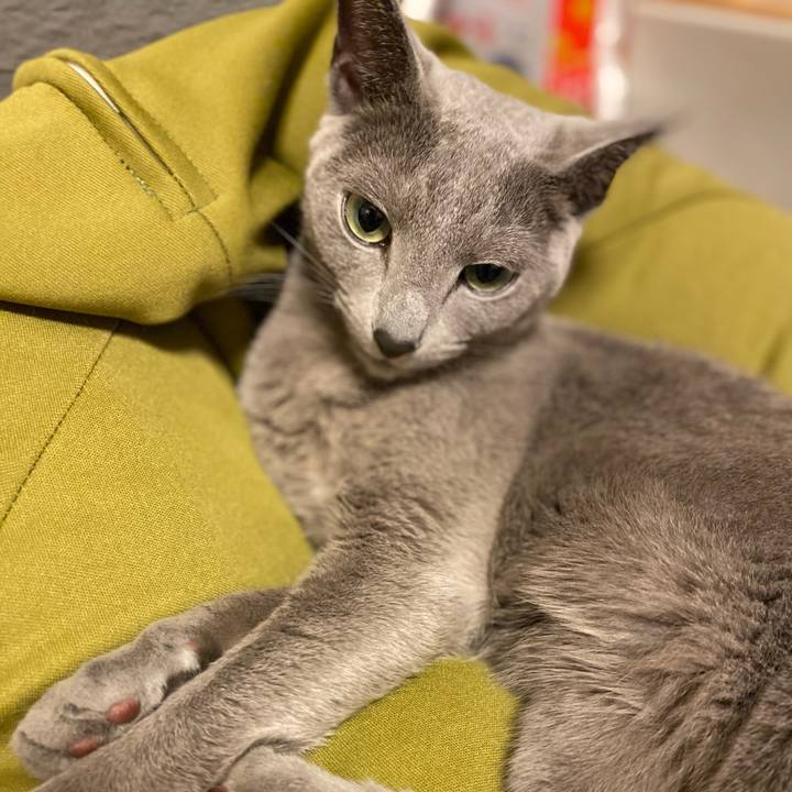 0215dd3f 1969 4a06 ac8b cc27146dfdab 1679023645131