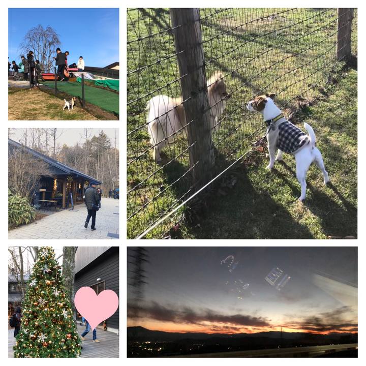 021608a6 242f 485c 9e6c a5114bd0e78b 1543142822741