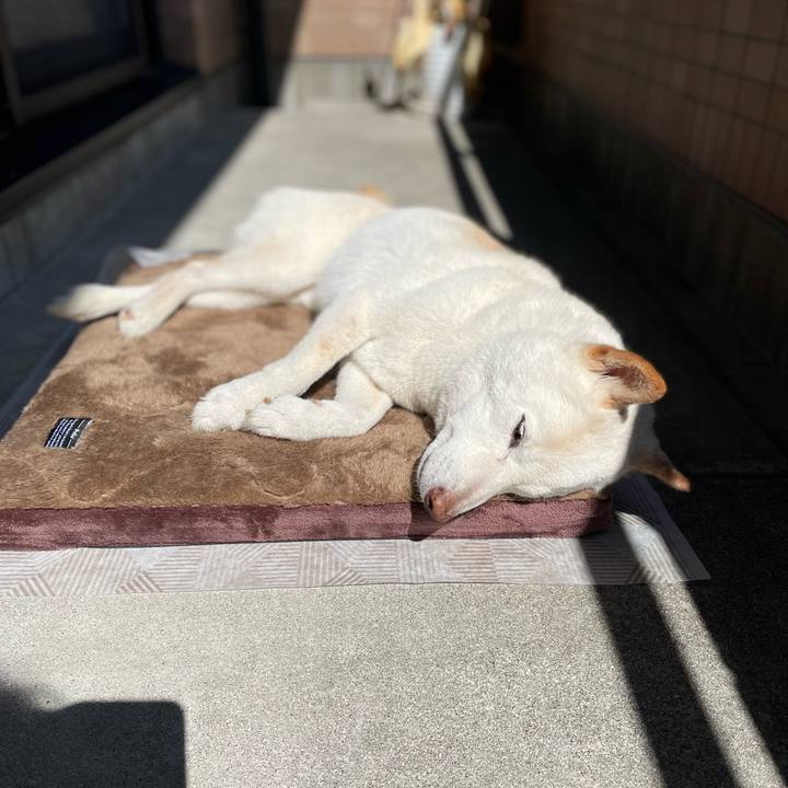 021630bf 7309 438b 9ec2 3f0f07fa1520 1648986359731