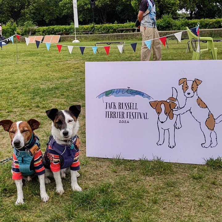 02168466 ecfe 419b 8003 38e779bfc256 1716114758708