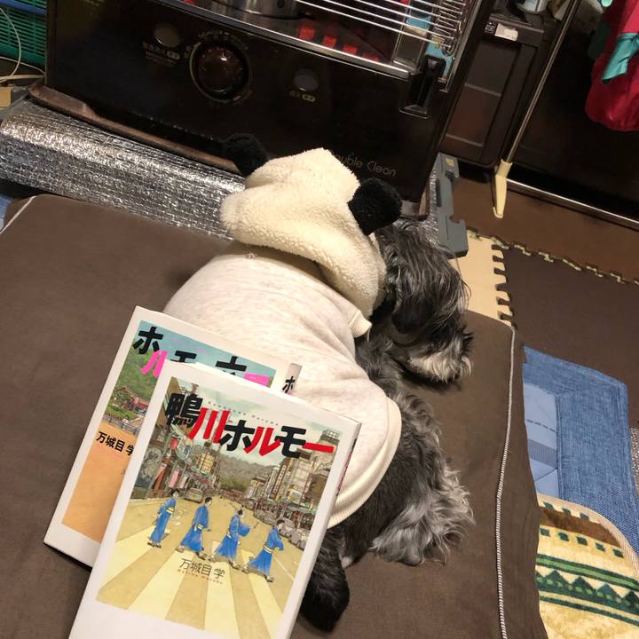 0216c77f 6754 40f7 a69a a0d35347f9ef 1706355683589