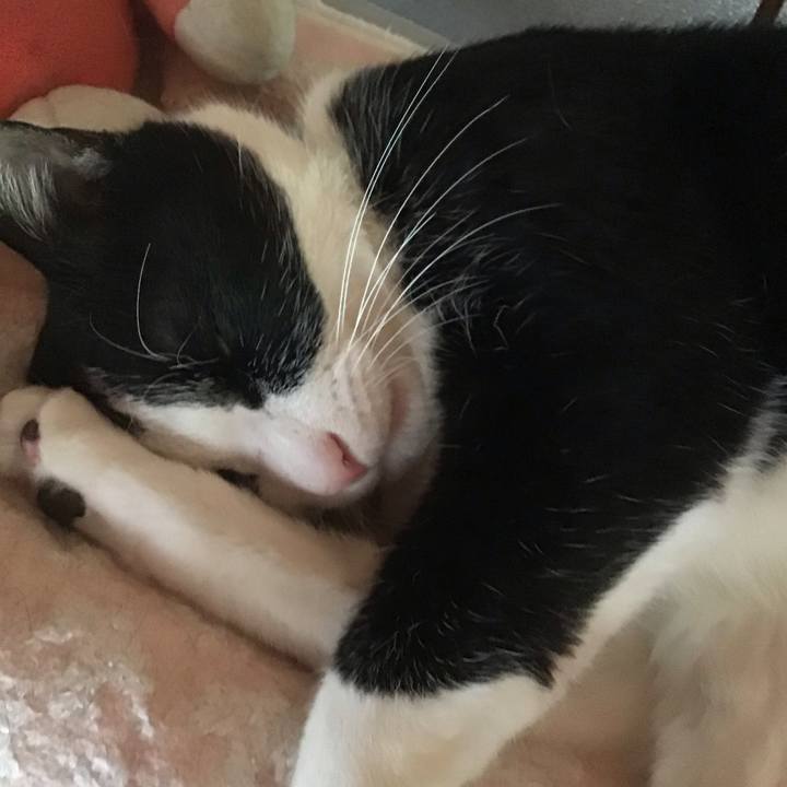 0216e8ff 4fb0 4f8c add5 0b6819088e29 1746954936544