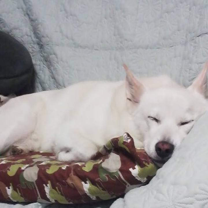 02171b0a d5bf 4f64 bba8 143efc062e21 1521024367759