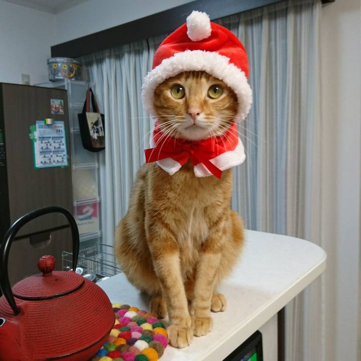 021723de 911e 4ae4 9175 36d93af05978 1512563383777