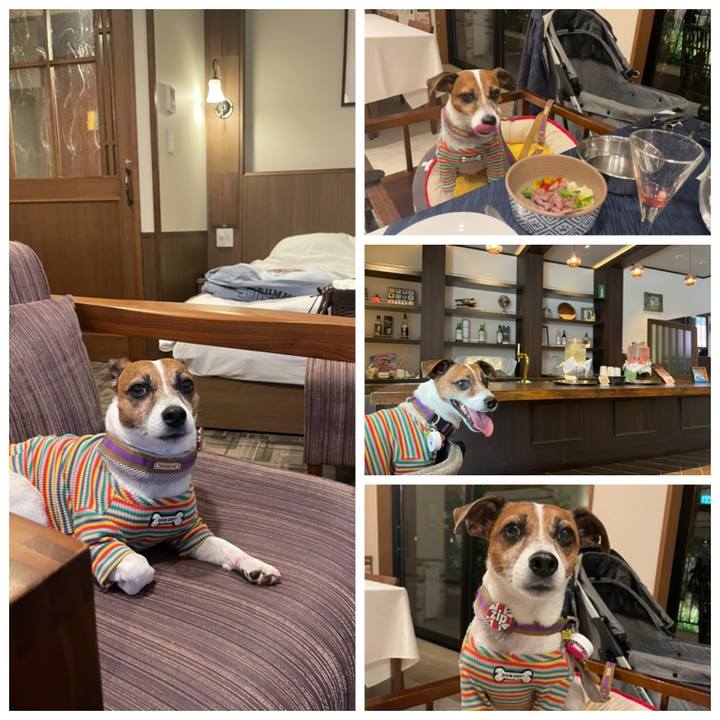 0217447a d231 40f9 bfc4 d2fd195324e8 1747579000782